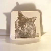 Personalised Pet Portrait Magnet