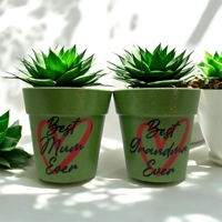 Best Ever Bamboo  Plant Pot,