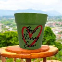 Best Ever Bamboo  Plant Pot,