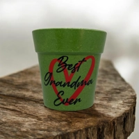 Best Ever Bamboo  Plant Pot,