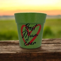 Best Ever Bamboo  Plant Pot,