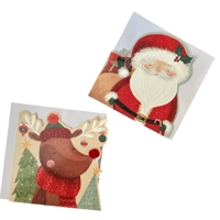 Sant and Rudolph Christmas Cards - 10 Pack
