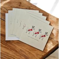 Robin Christmas Cards - 12 Pack