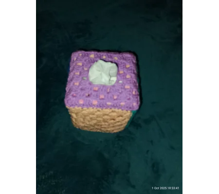 Tissue box cover