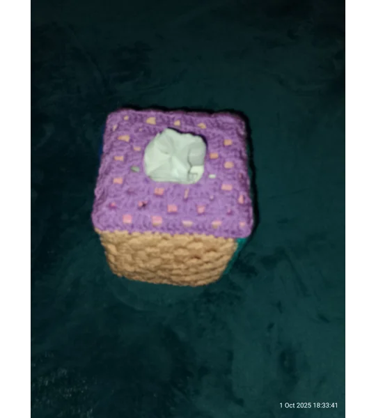 Tissue box cover