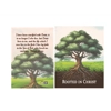 Rooted in Christ