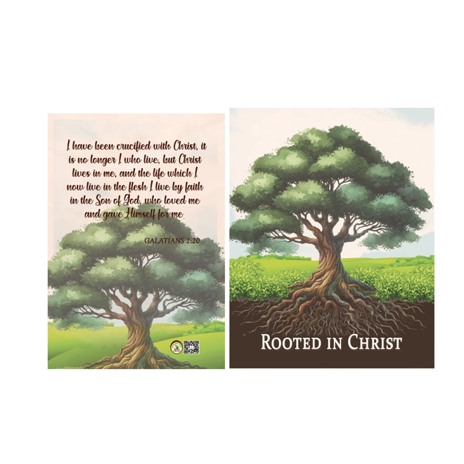 product Image for Rooted in Christ