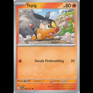 ASC 029/217 Tepig