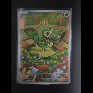 BLK 087/086 Snivy