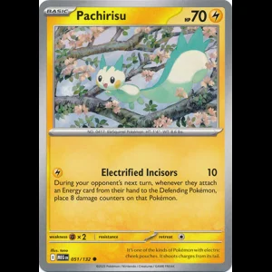MEG 051/132 Pachirisu