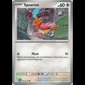 MEG 102/132 Spearow