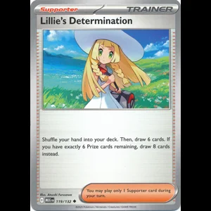 MEG 119/132 Lillie's Determination