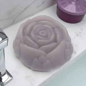 Blooming Rose