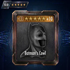 BATMANS COWL