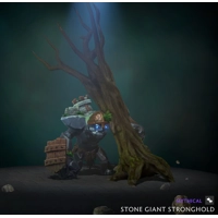 Stone Giant Stronghold