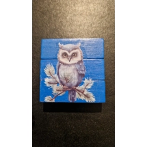 Owl fridge magnet