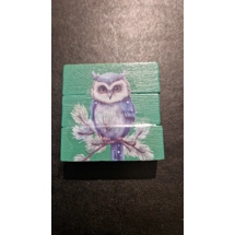 Owl Fridge Magnet