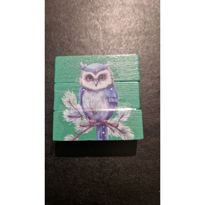 product Image for Owl Fridge Magnet