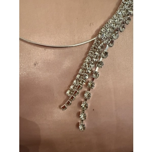Shiny Necklace