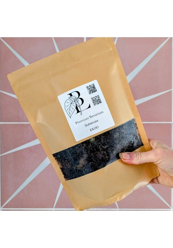 Premium Terrarium Substrate