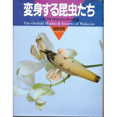 The Orchid Mantis and Insects of Malaysia by Kazuo Unno