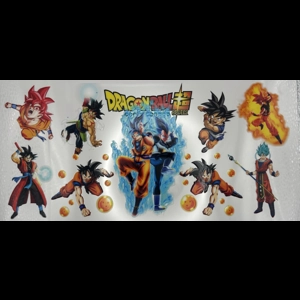 DRAGONBALL WRAP 16oz