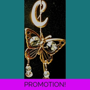 Pink/Clear Glass Earrings