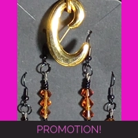 Set of Brown Earrings
