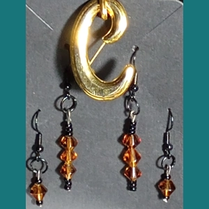 Set of Brown Earrings