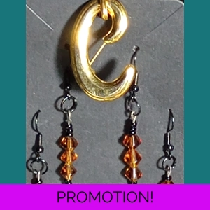 Set of Brown Earrings