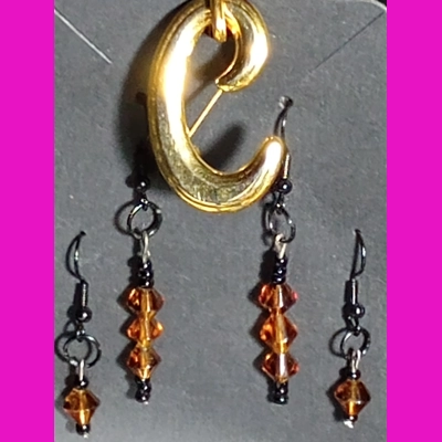 Set of Brown Earrings