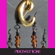 Set of Brown Earrings
