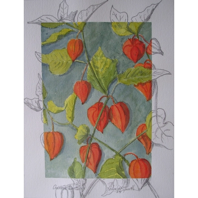 Chinese Laterns (part of set of 4)