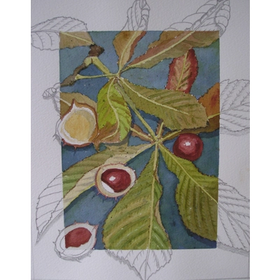 Horse Chestnut (part of set of 4)