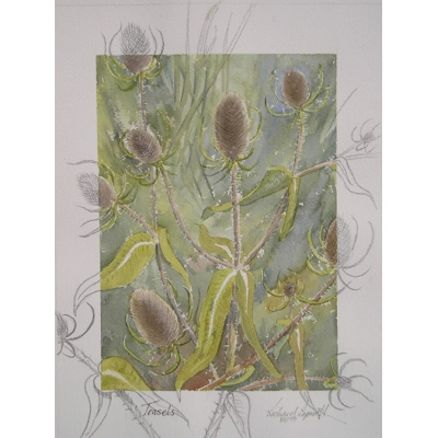 Teasles (part of set of 4)