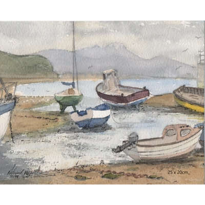 Harbour boats Abersoch