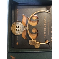 Alex and Ani Number 22 Rafaelian ..