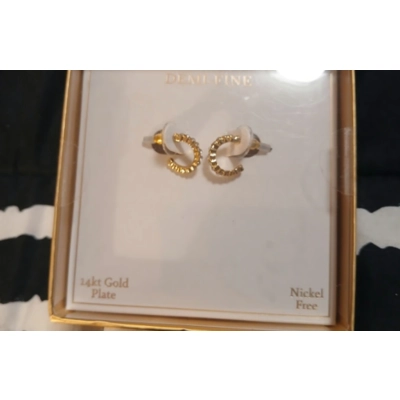 Demi-Fine 14K Gold Plated Hoop Earrings