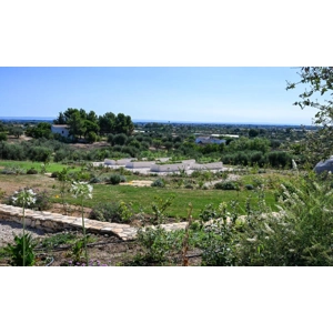 Basilicata, Matera, Pisticci, Italy