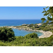 Corsica, Haute-Corse, Corbara, France