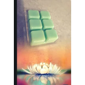 A Frogs kiss luxury wax melt