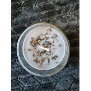 Lavender luxury candle