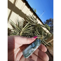 Moss agate generator