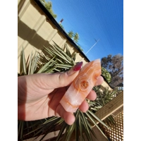 Carnelian with quartz generator