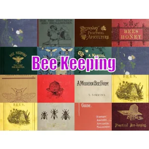 Beekeeping 399 eBooks Collection (PDF Download)