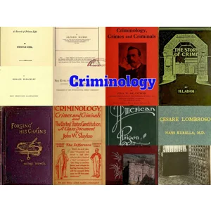 Criminology - 234 Old Books - Theories - American British Prisons & Prisoners- crime - penal systems