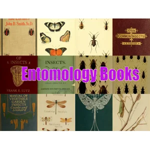 Entomology Books: Insect, Beetle & Spider Studies (PDF Download)