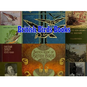 British Birds 260 Rare E-Books - Ornithology - Birds Nests - Habitats Identification - Bird Watching