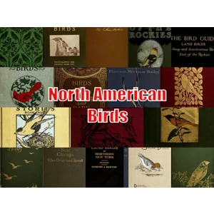 Birds - 293 North American & Canadian Old Bird eBooks- Ornithology, Bird watching Nests, Eggs, Natur