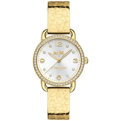 Coach 14502354 Delancey..